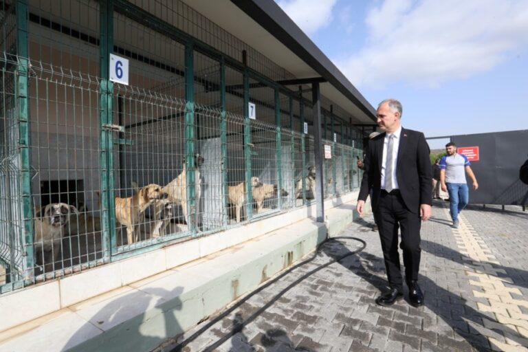 İNEGÖL’DE SOKAK HAYVANLARI İÇİN YENİ ADIMLAR ATILIYOR