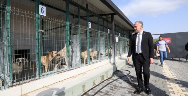 İNEGÖL’DE SOKAK HAYVANLARI İÇİN YENİ ADIMLAR ATILIYOR