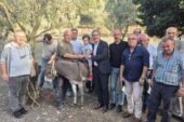 Festivalin en renkli ismine ziyaret