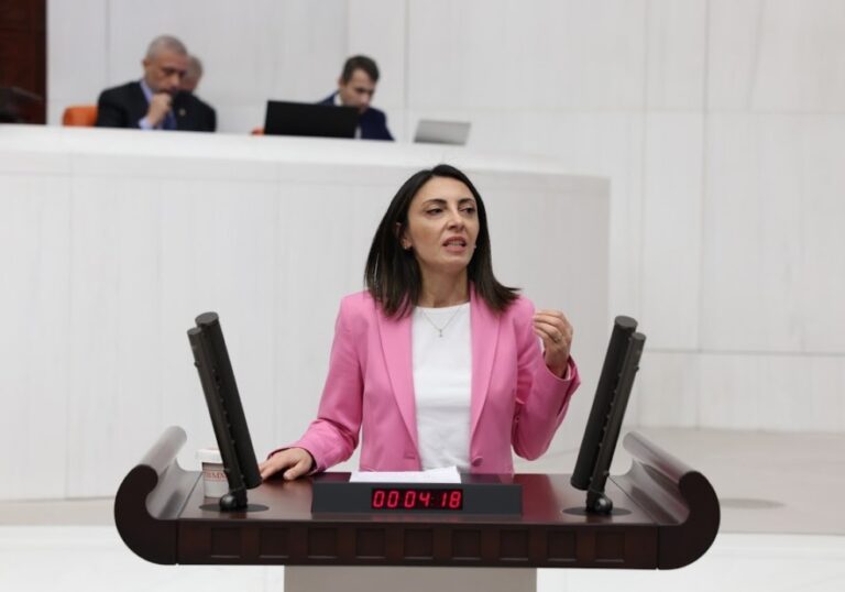 Nurhayat Altaca Kayışoğlu, Nilüfer Kayapa’da yaşanan koku sorununu Meclis gündemine taşıdı
