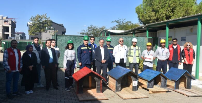 Patili canlar Gemlik Belediyesi’nin koruma altında