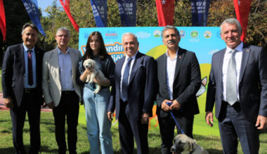 Can dostlar yeni yuvalarına kavuşuyor