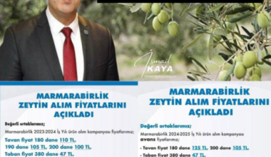 İYİ Parti Bursa İl Başkanı İsmail Kaya’dan Marmarabirlik Başkanına Tepki