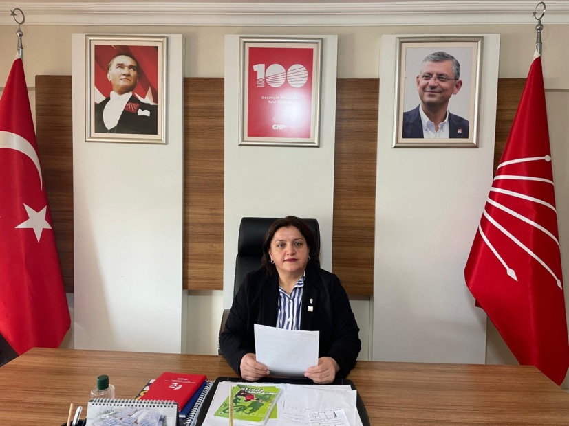 CHP Gemlik Kadın Kollarından Dünya Çocuk Hakları Günü Açıklaması