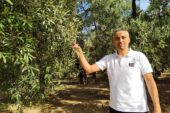 GEMLİK ZEYTİNİ TARIM KOOPERATİFİ KURMALIYIZ