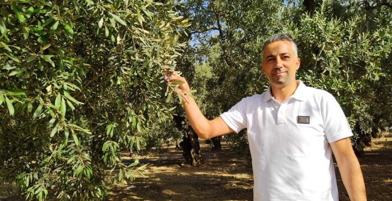 GEMLİK ZEYTİNİ TARIM KOOPERATİFİ KURMALIYIZ