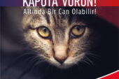 Araca binmeden önce kaputa vur