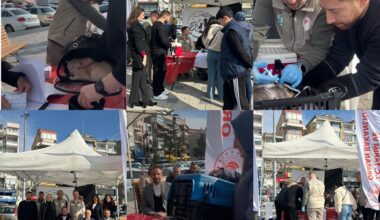 Gemlik İlçe Tarım Müdürlüğünden örnek proje
