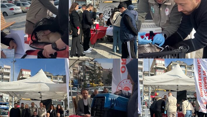 Gemlik İlçe Tarım Müdürlüğünden örnek proje