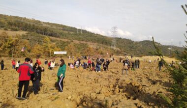 AĞAÇLANDIRMA GÜNÜNDE FARKINDALIK AĞAÇLANDIRMA GÜNÜNDE FARKINDALIK