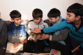 Öğrenciler bu kütüphanede hem kitap okuyor hem de kedileri seviyor