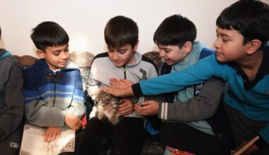 Öğrenciler bu kütüphanede hem kitap okuyor hem de kedileri seviyor