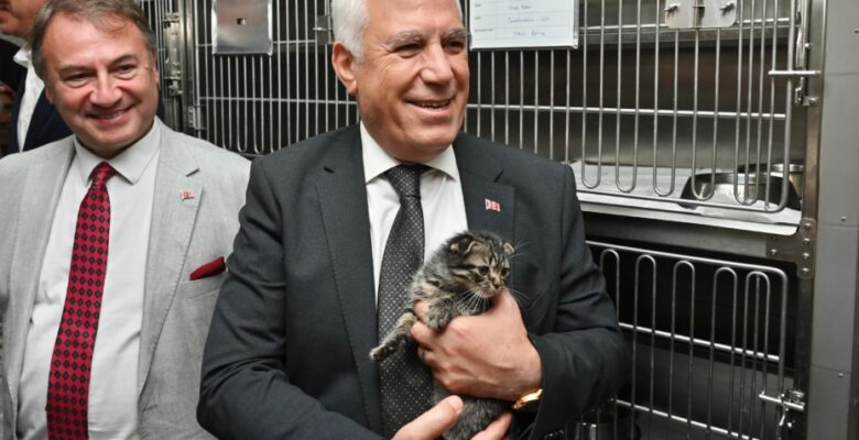 Bursa Büyükşehir’den can dostlara şefkat