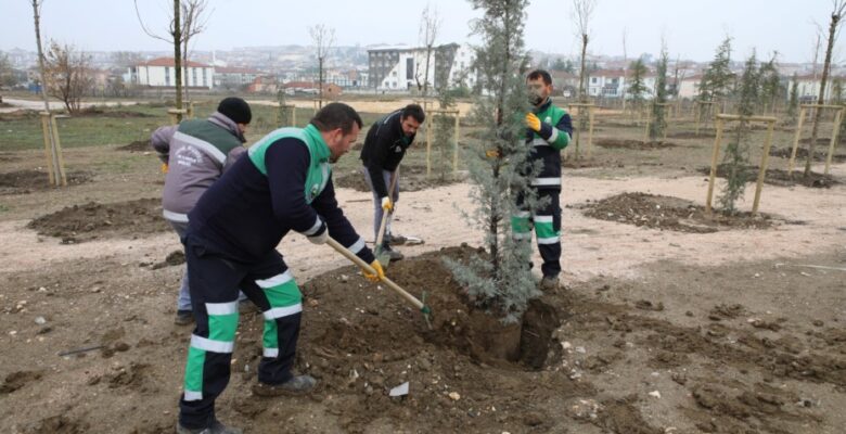 167 FİDAN ENGELLİLER İÇİN TOPRAKLA BULUŞTU