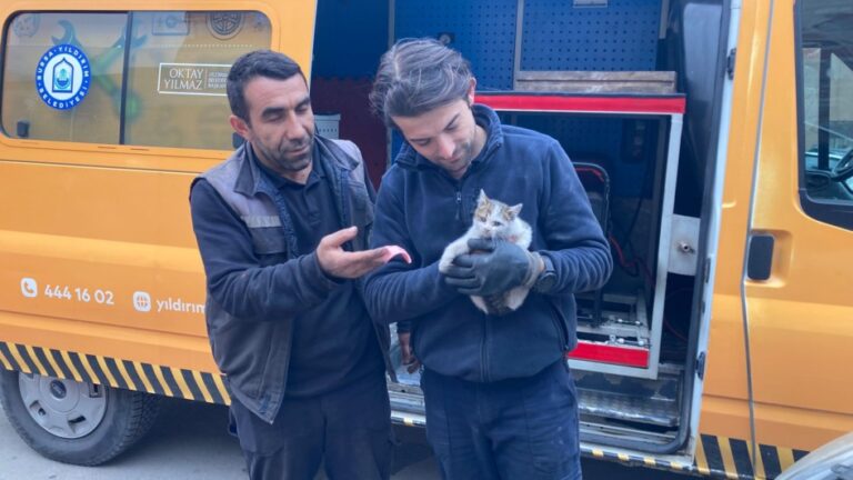 KAPUTA SIKIŞAN YAVRU KEDİ KURTARILDI
