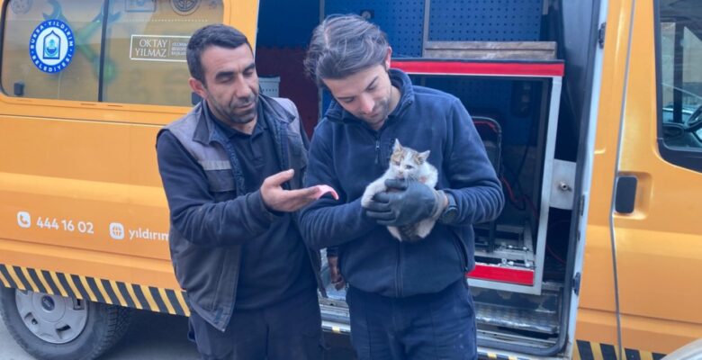 KAPUTA SIKIŞAN YAVRU KEDİ KURTARILDI