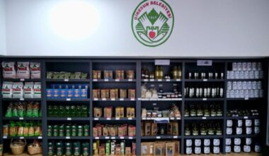 Gemlik’in Zeytinyağları Giresun’da