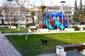Gemlik’te Çevre Düzenleme Çalışmaları Devam Ediyor