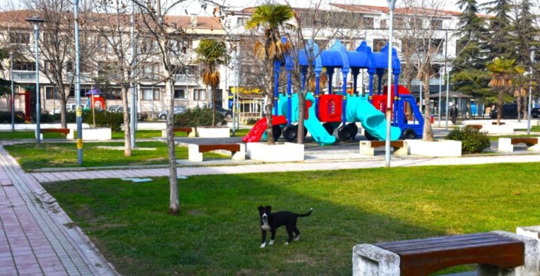 Gemlik’te Çevre Düzenleme Çalışmaları Devam Ediyor