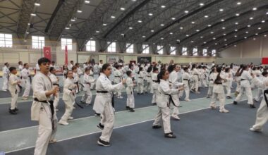 Osmangazi’de karate eğitim semineri