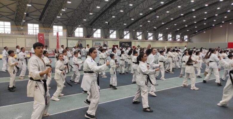 Osmangazi’de karate eğitim semineri