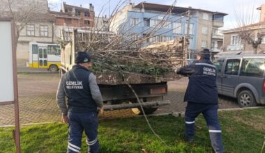 Park ve Yeşil Alanlarda Budama Çalışmaları Sürüyor Park ve Yeşil Alanlarda Budama Çalışmaları Sürüyor