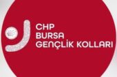 CHP Yıldırım Gençlik Kolları  Başkanlığı’na Mete Cenk Şahin atandı