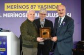 Merinos’un mirası Bursa’da yaşatılıyor