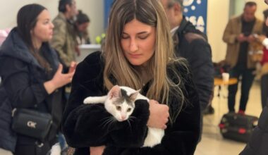 Sevimli can dostlar yeni yuvalarına kavuştu