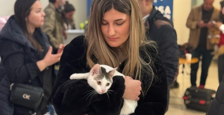 Sevimli can dostlar yeni yuvalarına kavuştu