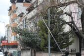 ŞEHİR GENELİNDE AĞAÇ BUDAMA ÇALIŞMALARI SÜRÜYOR