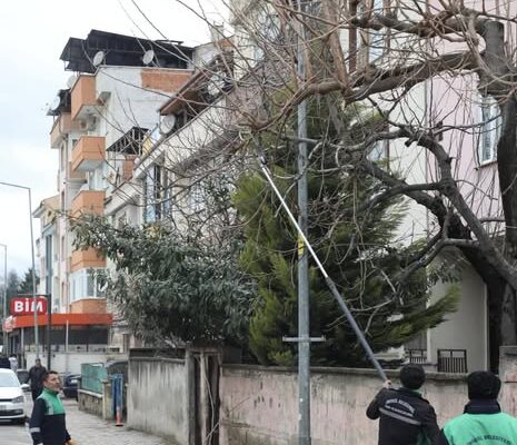 ŞEHİR GENELİNDE AĞAÇ BUDAMA ÇALIŞMALARI SÜRÜYOR