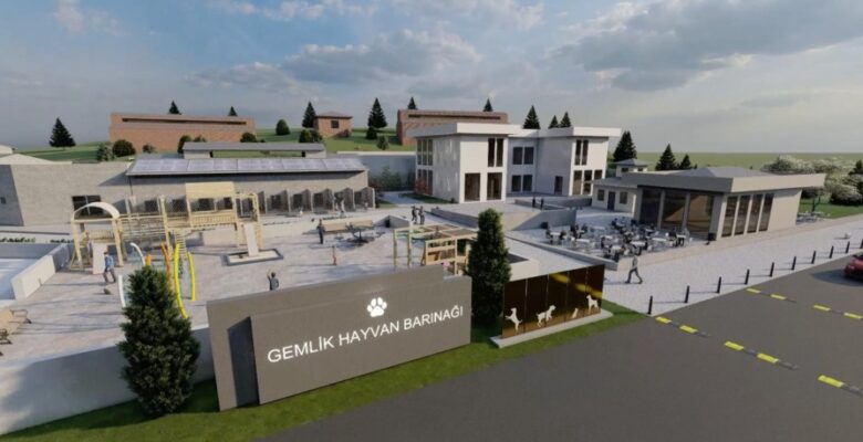 Gemlik Belediyesi Patili Dostlara Sahip Çıkıyor
