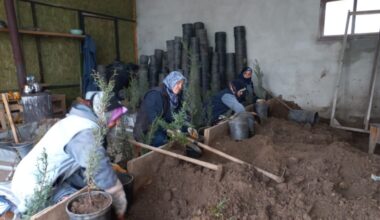 Karacabey Belediyesi’nden doğaya saygılı estetik çalışmalar
