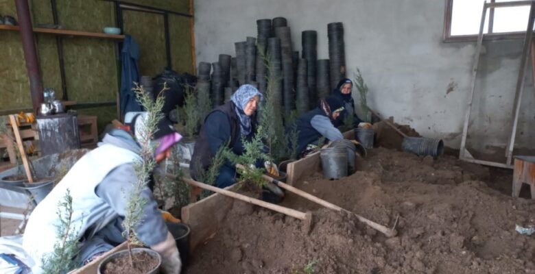 Karacabey Belediyesi’nden doğaya saygılı estetik çalışmalar