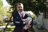 SAHİPLENİLEN   HAYVANLARIN 1 YILLIK MUAYENESİ YILDIRIM BELEDİYESİ’NDEN 