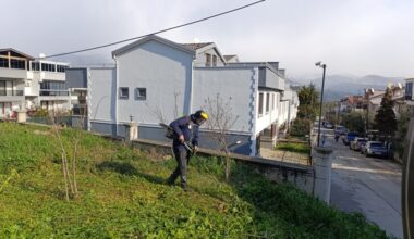 Gemlik’te Yeşil Seferberlik