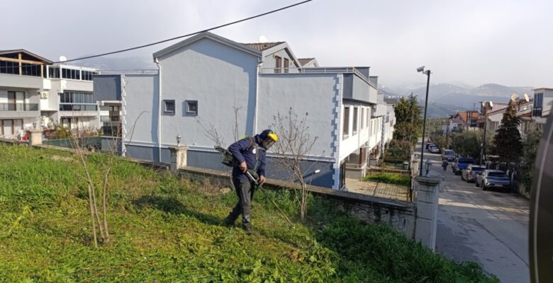 Gemlik’te Yeşil Seferberlik