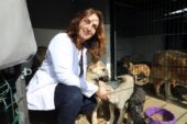 MUDANYA BELEDİYESİ MAMA ÜRETİMİNİ ARTIRDI