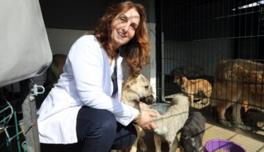 MUDANYA BELEDİYESİ MAMA ÜRETİMİNİ ARTIRDI