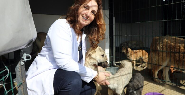 MUDANYA BELEDİYESİ MAMA ÜRETİMİNİ ARTIRDI