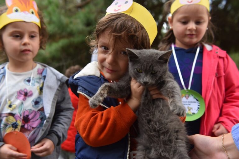 YILDIRIM’DA 625 PATİLİ DOST SICAK YUVAYA KAVUŞTU