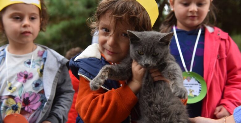 YILDIRIM’DA 625 PATİLİ DOST SICAK YUVAYA KAVUŞTU