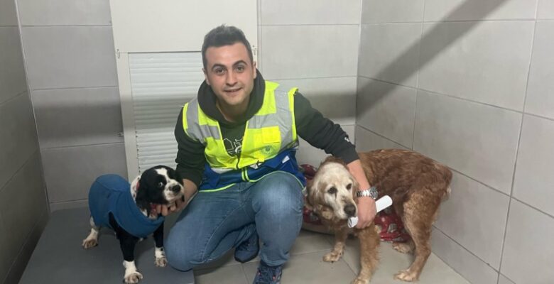 Büyükşehir, bayramda da can dostların yanında