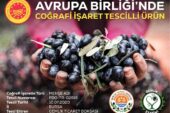 Avrupa Birliği Tescilli Coğrafi İşaretli Gemlik Zeytini  Bilboardlarda Yerini aldı.