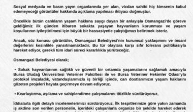 Sokaktaki Canlar Konusunda Açıklama