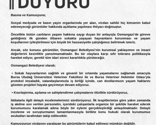 Sokaktaki Canlar Konusunda Açıklama