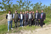 Başkan Erkan Aydın zirai don mağduru çiftçileri yalnız bırakmadı