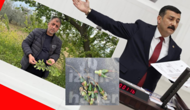 TÜRKOĞLU, ÜRETİCİYİ PERİŞAN EDEN DON AFETİNİ TBMM GÜNDEMİNE TAŞIDI