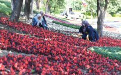 Osmangazi’nin her yeri çiçek kokuyor
